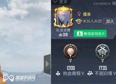 和平精英辅助【ACE闪电容器直装】人物透视 射线方框 锁死自瞄 子弹追踪 物资显示 雷达预警 人物绘制 手持武器