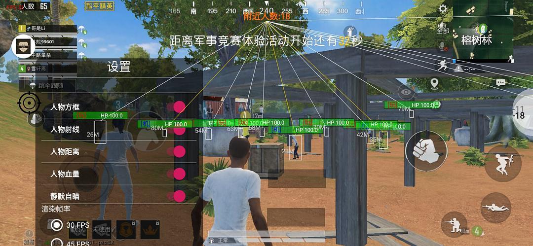和平精英【初夏内核】辅助