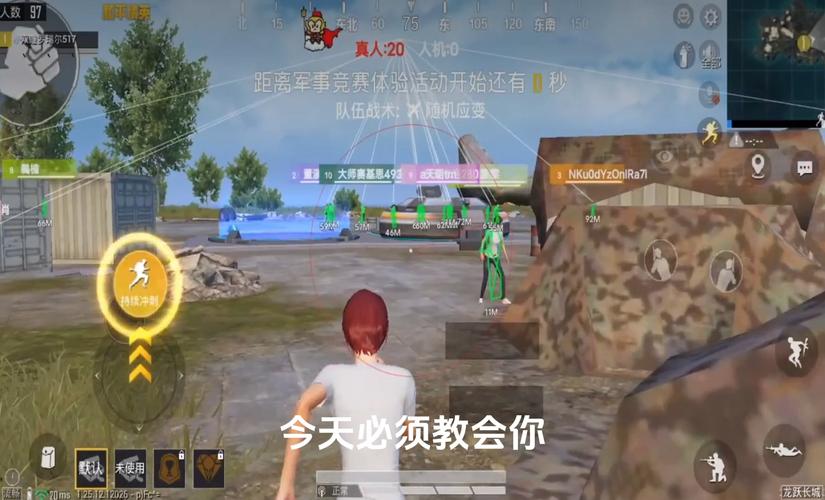 和平精英辅助【火焰鸟一体直装】人物透视 无后坐力 开枪自瞄 开车飞天 飞天跳伞 皮肤美化 物资显示 队伍信息